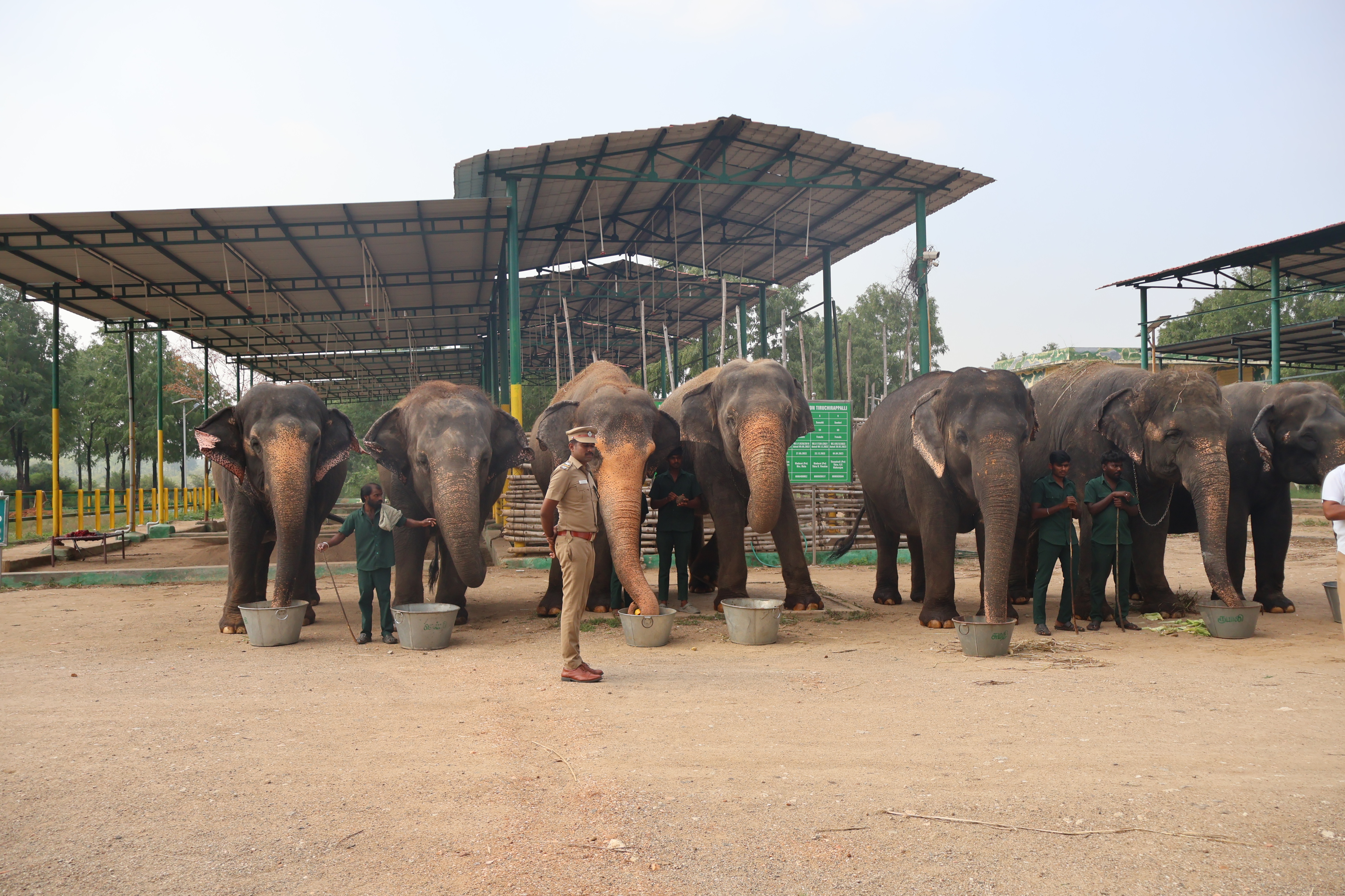 Fruits and Vegetables